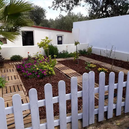 Villa With 3 Bedrooms In With Private Pool Enclosed Garden And Wifi 16 Km From The Beach Loulé