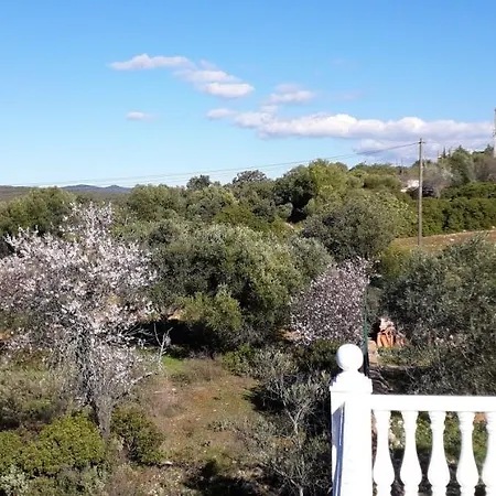 With 3 Bedrooms In With Private Pool Enclosed Garden And Wifi 16 Km From The Beach